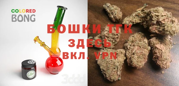 прущие грибы Арсеньев