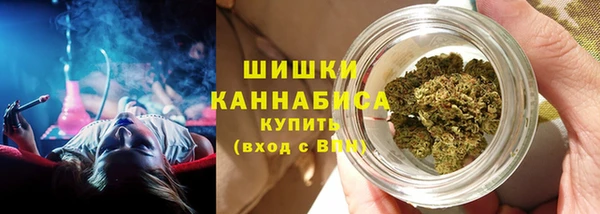прущие грибы Арсеньев