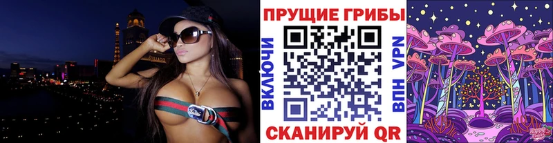 Псилоцибиновые грибы Psilocybine cubensis  наркота  Бавлы 